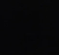 Bohotusk Lotus Flower Cotton Ladies T-Shirt XS - 2XL (UK 8 - 18) - 7 colours