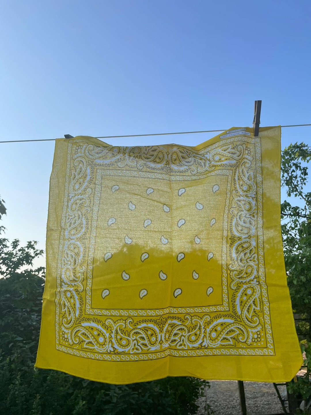 Yellow Paisley Bandana Pocket Square Neckerchief 56cm x 56cm (22in x 22in)