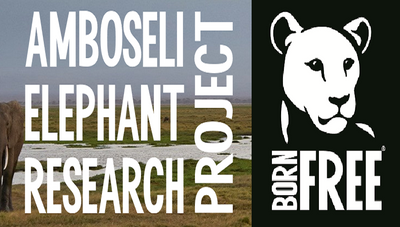 Born Free Foundation Support