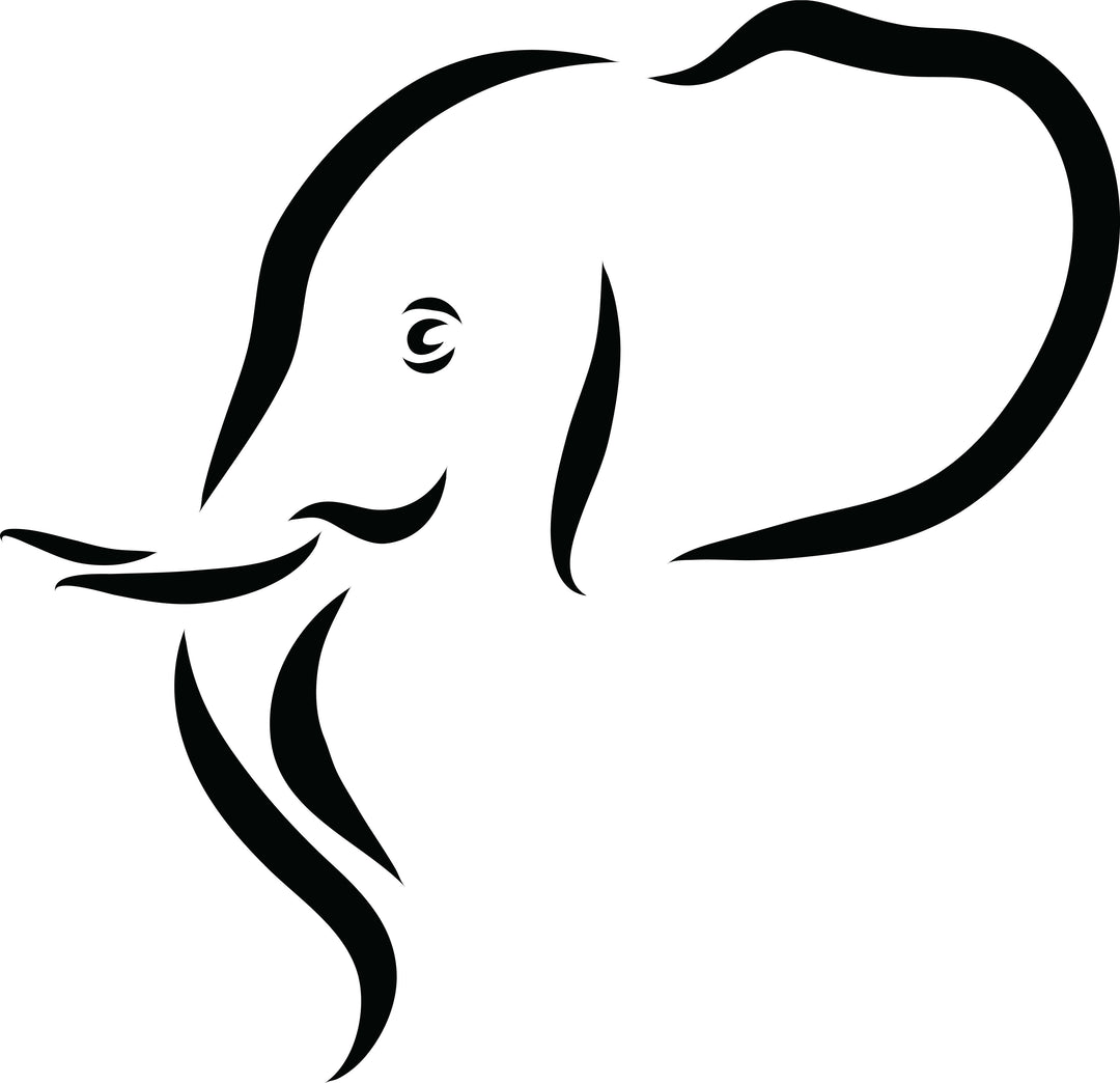 Bohotusk Elephant Head White Cotton Ladies T-Shirt XS - 2XL (UK 6 - 18)