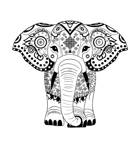 Bohotusk Elephant Print White Cotton Ladies T-Shirt XS - 2XL (UK 6 - 18)